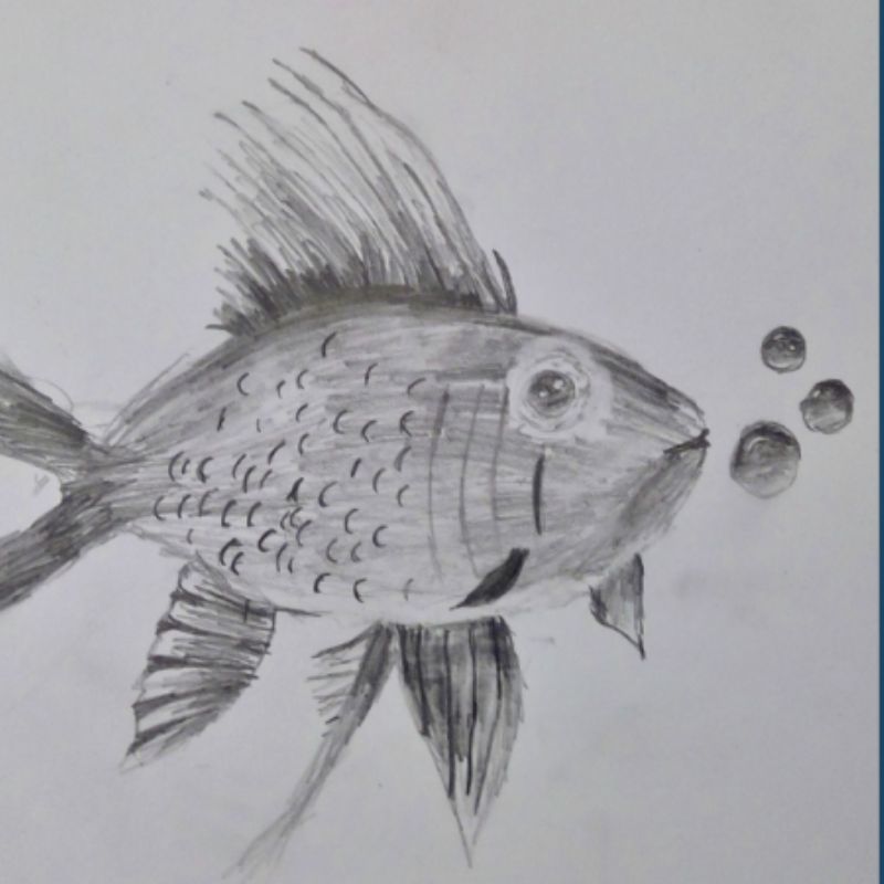 Artist of the Week: Study of a Fish by Elodie