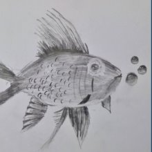 Artist of the Week: Study of a Fish by Elodie